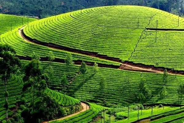 Kerala Group Tour 6D 5N