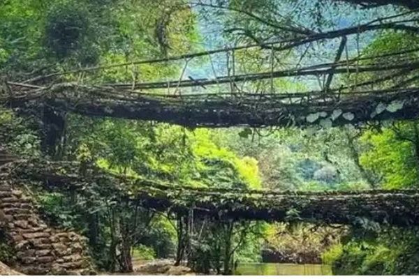 Northeast Golden Triangle